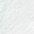 2_9f7c3bb4-df37-4b6c-9ba0-6049f3eca135