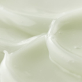 2_f413b518-44f0-463e-8b84-a4842030bbaa